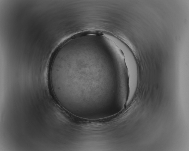 X0000087310387200705112121