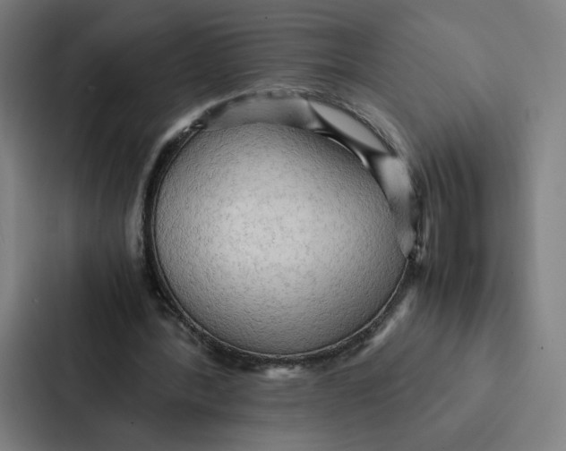 X0000087310388200705112121