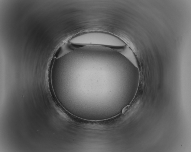 X0000087310389200705112121