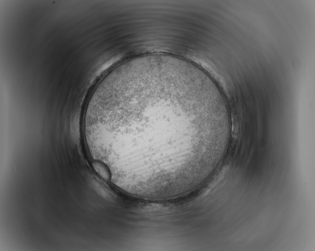 X0000087310390200705112121