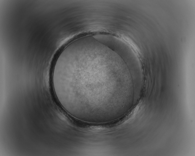 X0000087310391200705112121