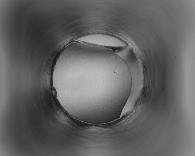 X0000087310393200705112121