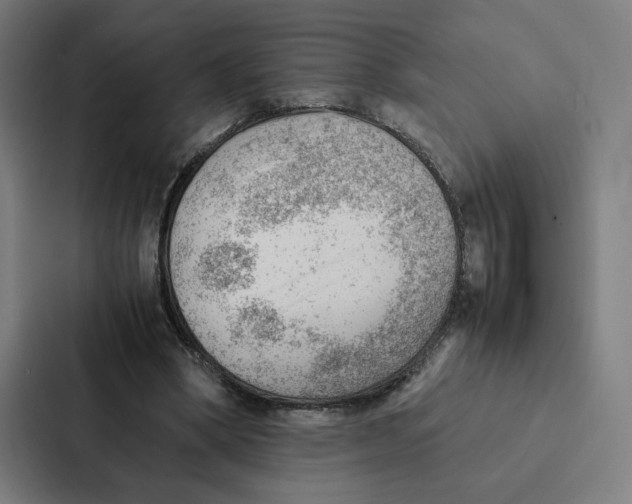 X0000087310394200705112121