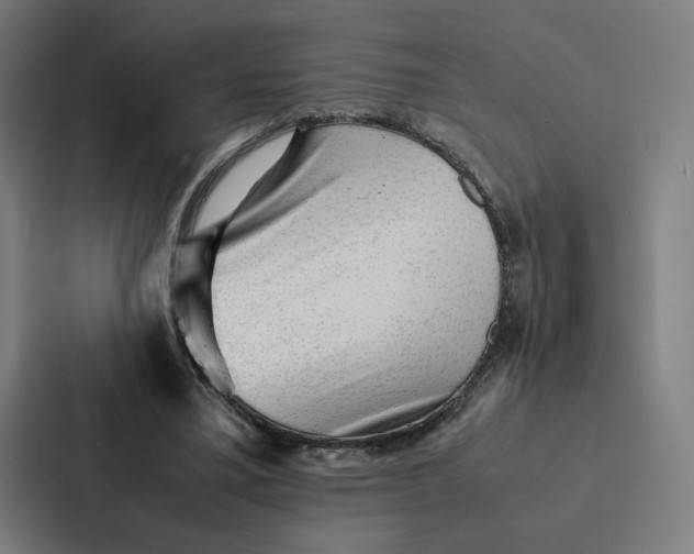 X0000087310395200705112121