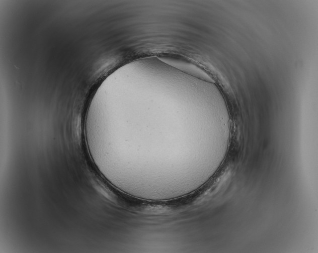 X0000087310397200705112121