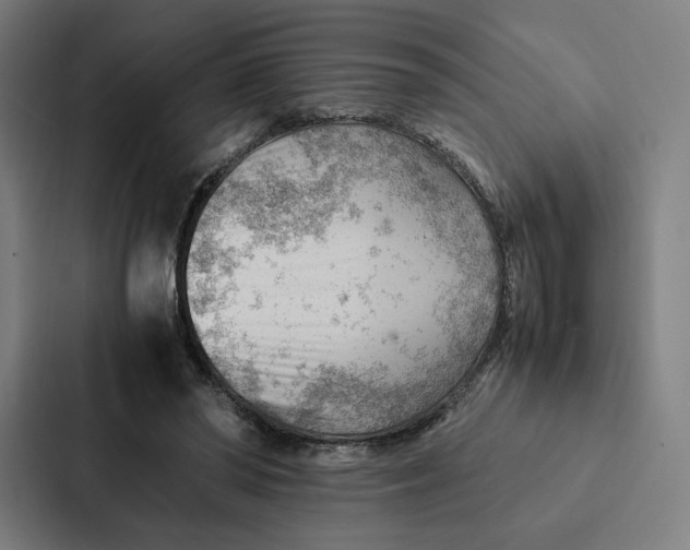 X0000087310398200705112121