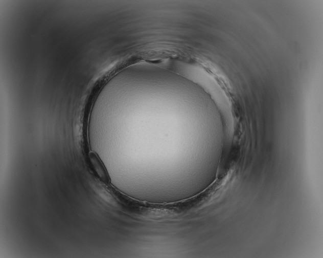 X0000087310399200705112121