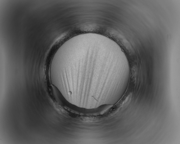 X0000087310400200705112121