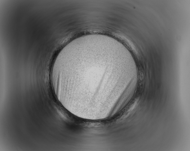 X0000087310401200705112121