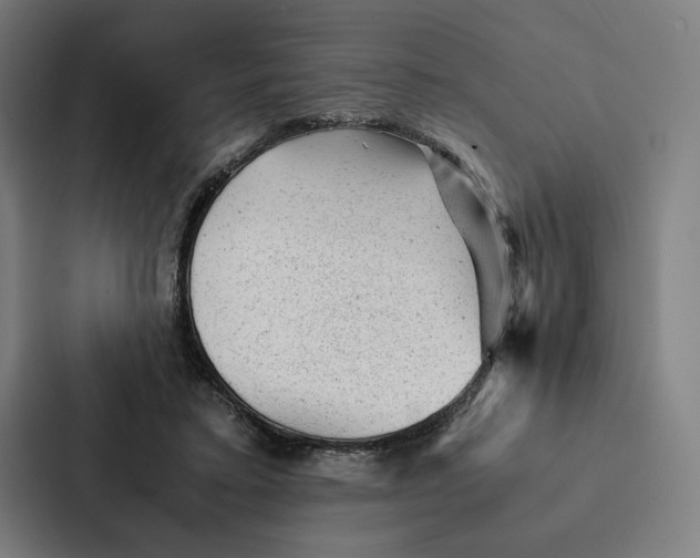 X0000087310403200705112121