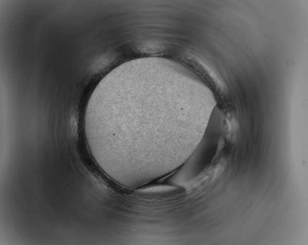 X0000087310404200705112121