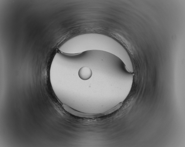 X0000087310405200705112121