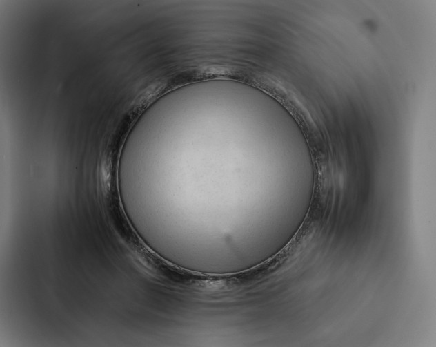 X0000087310406200705112121