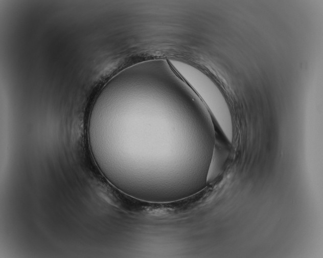 X0000087310407200705112121