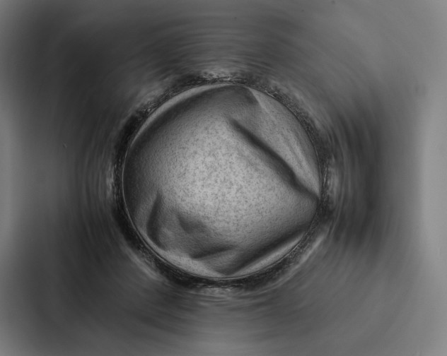 X0000087310408200705112121