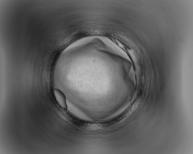 X0000087310409200705112121