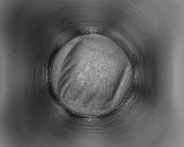 X0000087310410200705112121