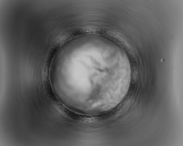 X0000087310411200705112121