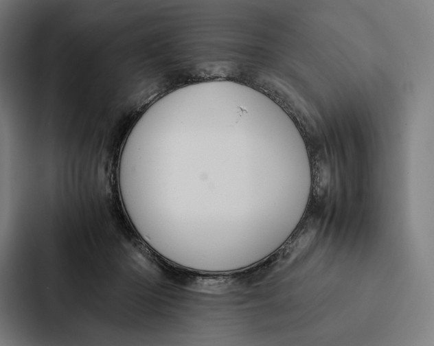 X0000087310414200705112121