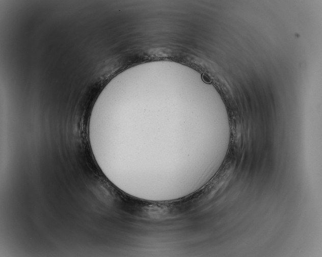 X0000087310418200705112121