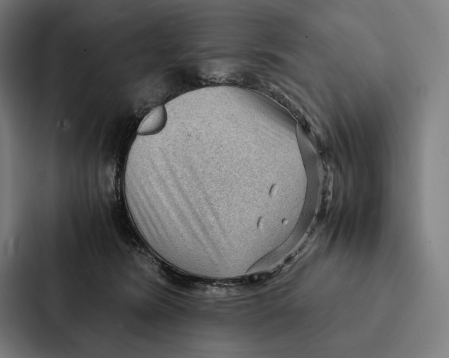 X0000087310420200705112121