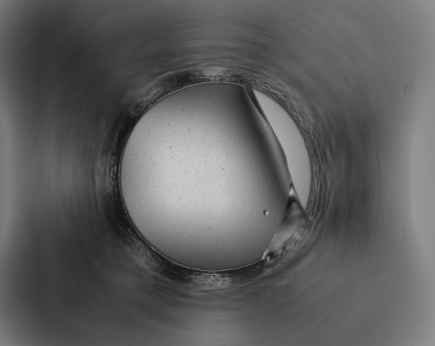 X0000087310421200705112121