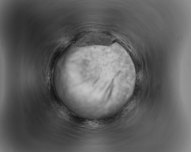 X0000087310423200705112121