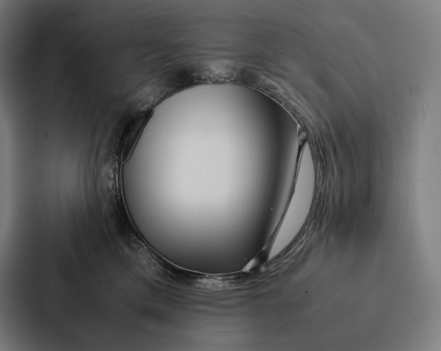 X0000087310425200705112120