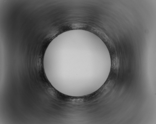 X0000087310426200705112120