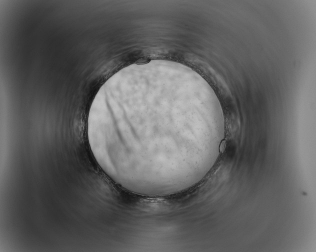 X0000087310427200705112120