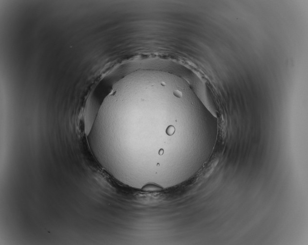 X0000087310428200705112120