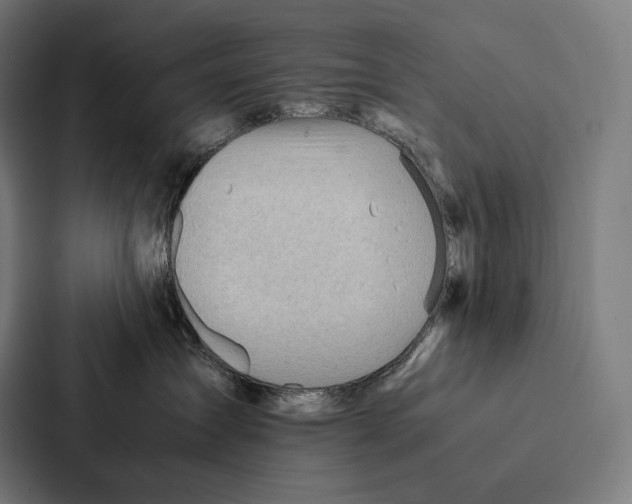 X0000087310431200705112120