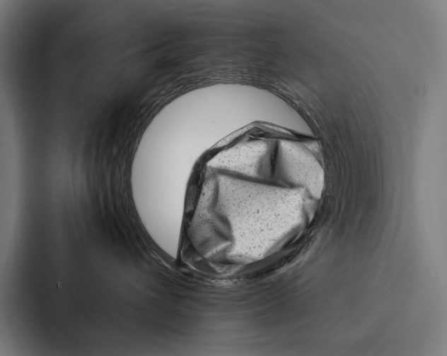 X0000087310432200705112120