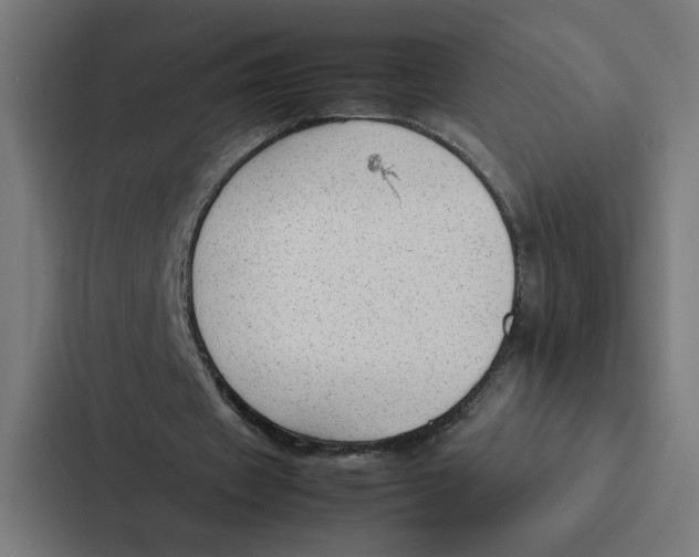 X0000087310433200705112120