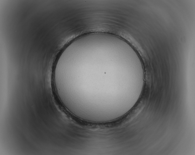 X0000087310434200705112120