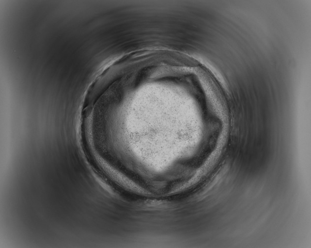 X0000087310437200705112120