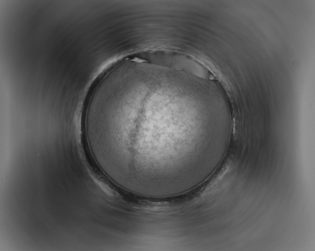 X0000087310438200705112120