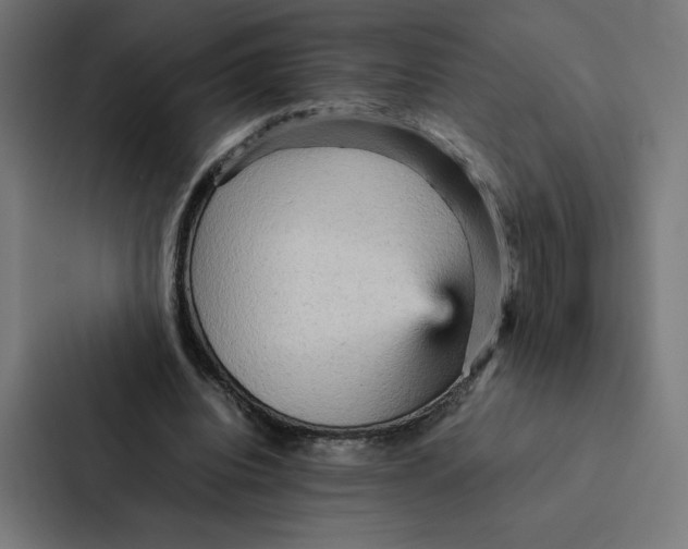 X0000087310440200705112120