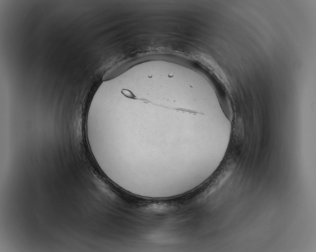 X0000087310441200705112120