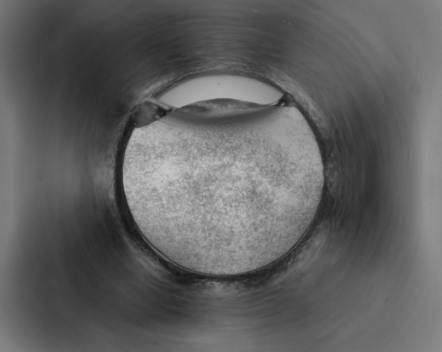 X0000087310442200705112120