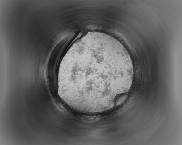 X0000087310443200705112120