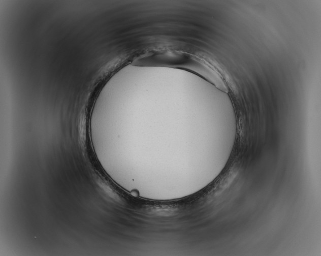 X0000087310445200705112120