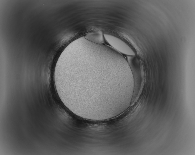 X0000087310447200705112120