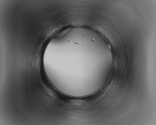 X0000087310448200705112120