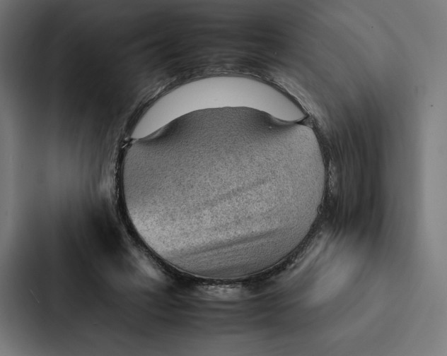 X0000087310449200705112120