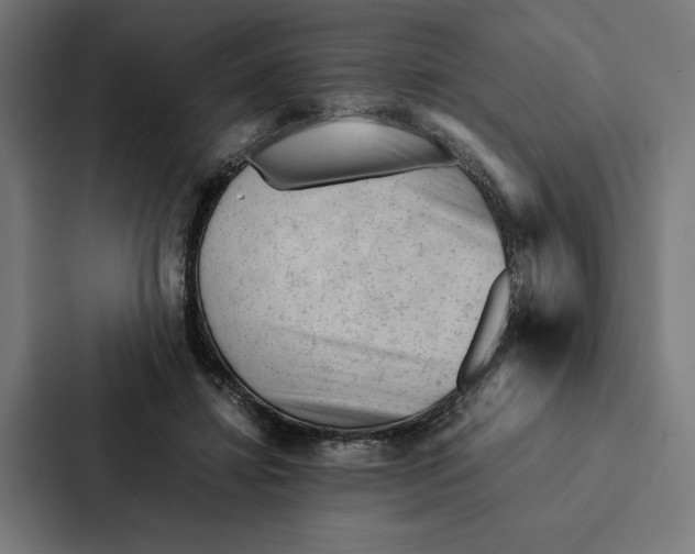 X0000087310452200705112120