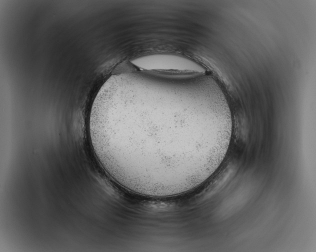 X0000087310453200705112120