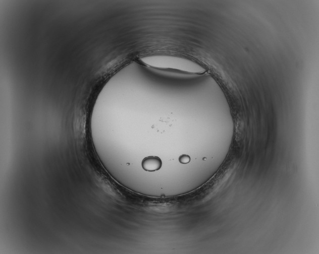 X0000087310454200705112120