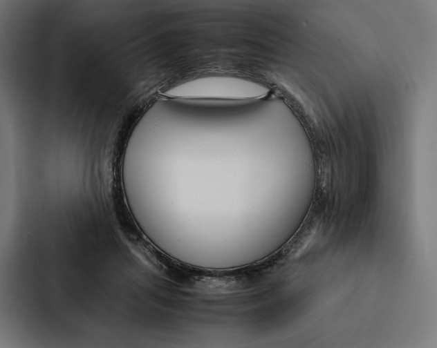 X0000087310455200705112120