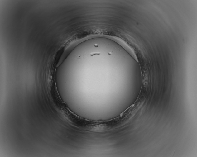 X0000087310456200705112120